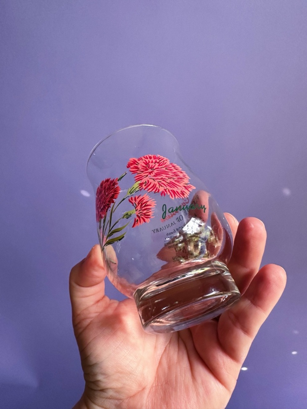 Vintage January Carnation Flower of the Month Glass Tumbler - Picture 2 of 3